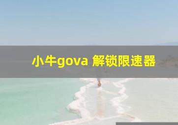 小牛gova 解锁限速器